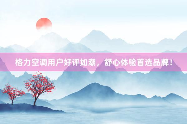 格力空调用户好评如潮，舒心体验首选品牌！