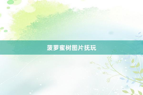 菠萝蜜树图片抚玩
