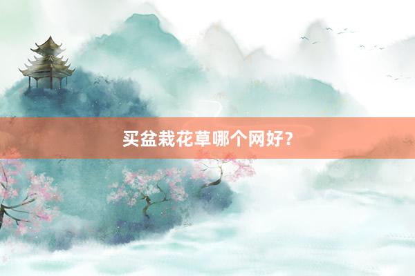 买盆栽花草哪个网好？